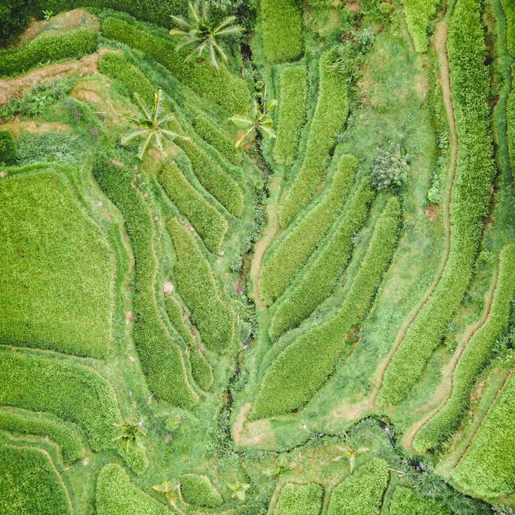 Outdoor terrace seating suitable for families in Zurich